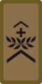 OR-5 - Sergent