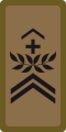 OR-6 - Sergent-major