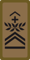 OR-7b - Sergent-major chef