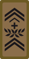 OR-9a - Adjudant d'état-major