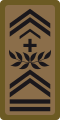 OR-9c - Adjudant-chef