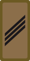 OR-3 - Appointé-Chef